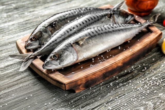 Die Makrele gehört zu den nachhaltigen Fischarten
