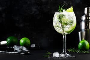 Gin Tonic