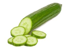 Schlangengurken anbauen