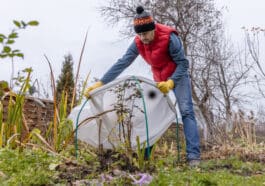 Gartenpflege im Winter