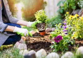 Frühlingserwachen im Garten