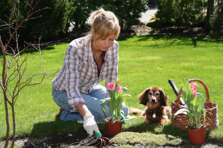Gartenarbeit im April