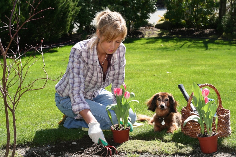 Gartenarbeit im April