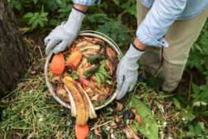 Richtig kompostieren, denn nicht alles darf in den Komposter