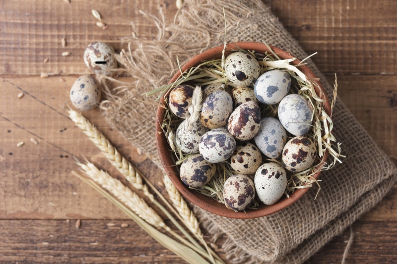Wachteleier zum Backen und Kochen